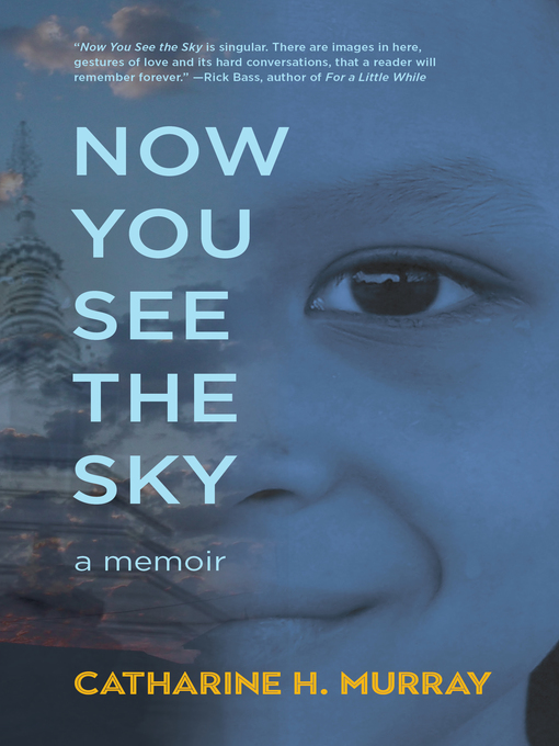 Cover image for Now You See the Sky